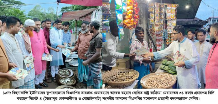 তারেক রহমানের ৩১ দফায় দেশের উন্নয়নের কর্মপরিকল্পনা : বদরুজ্জামান সেলিম।