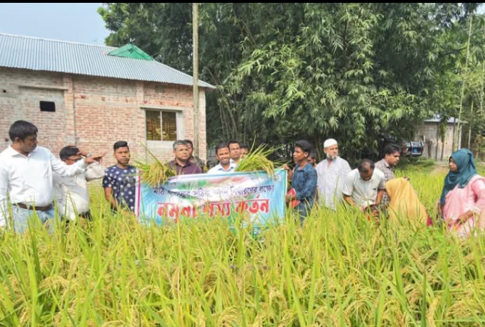 ডিমলায় মাঠ ফসলের সঠিক ফলন নির্ধারণের লক্ষ্যে ধানের নমুনা শস্য কর্তন কার্যক্রম অনুষ্ঠিত।