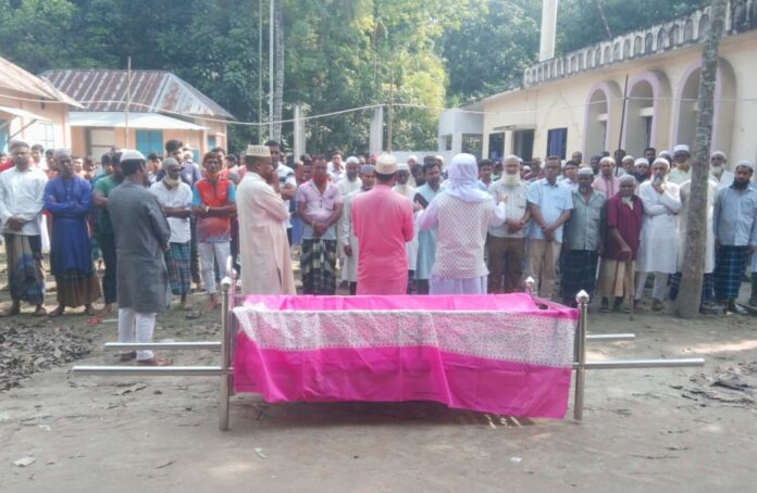 বোয়ালমারীতে ভীমরুলের কামড়ে শিশুর মৃত্যু।