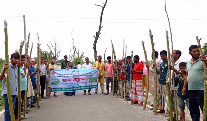 রাণীশংকৈলে সজিনা চাষ সম্প্রসারণে রোপণ কার্যক্রমের উদ্বোধন।