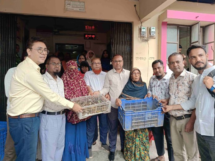 ব্র্যাকের শিবগঞ্জ সদর শাখায় বিকল্প আয়ের সুযোগ সৃষ্টিতে বিনামূল্যে হাঁসের বাচ্চা বিতরণ।