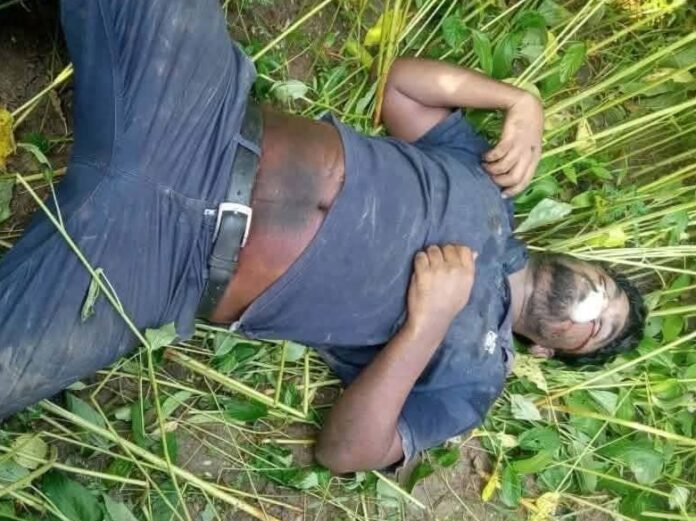 বোয়ালমারীতে তিনদিন নিখোঁজ থাকার পর যুবকের মরদেহ উদ্ধার।