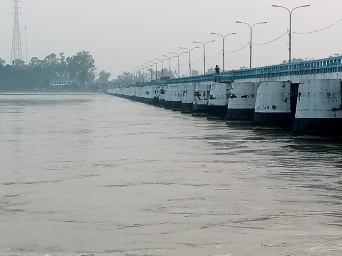 বিপদসীমার নিচ দিয়ে প্রবাহিত হচ্ছে তিস্তা নদীর পানি।