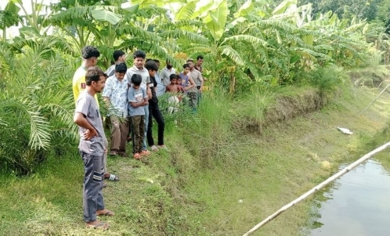 বোয়ালমারীতে পুকুরের চারপাশে অরক্ষিত বিদ্যুৎ সংযোগ, ভ্যানচালকের মৃত্যু।