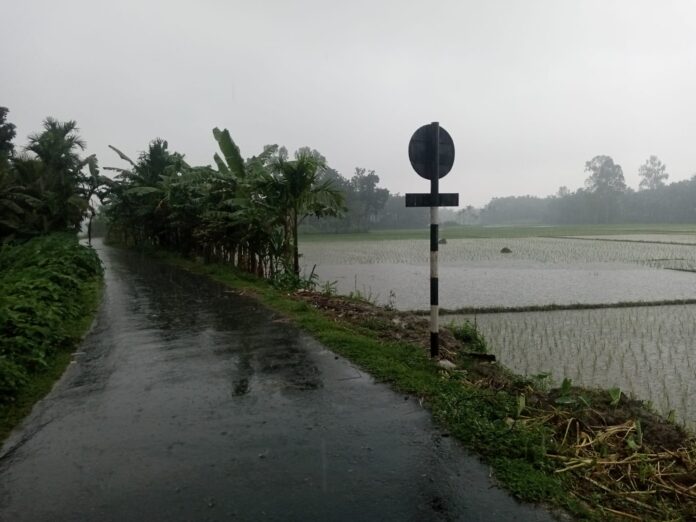 ডিমলায় সর্বোচ্চ ১০১ মিলিমিটার বৃষ্টিপাত হয়েছে।