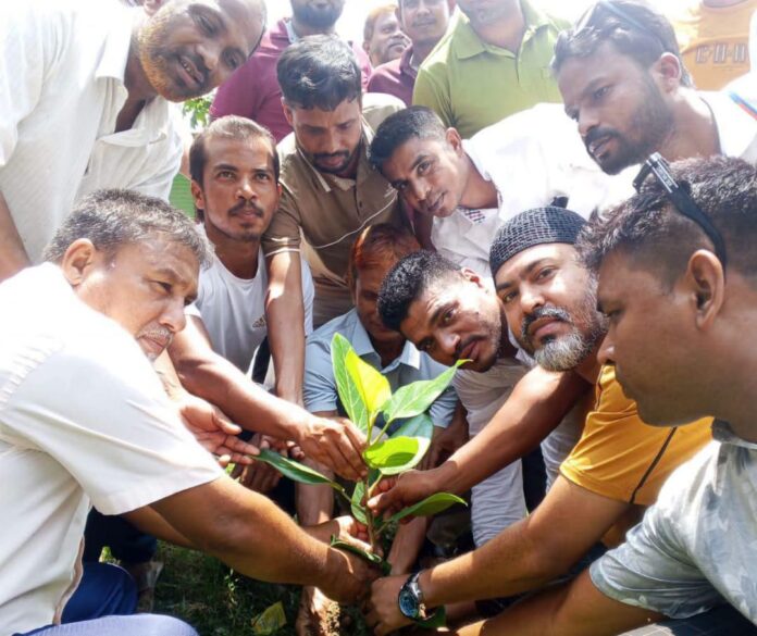 স্বেচ্ছাসেবক দলের ৪৬তম প্রতিষ্ঠাবার্ষিকী উপলক্ষে ডিমলায় বৃক্ষরোপণ।