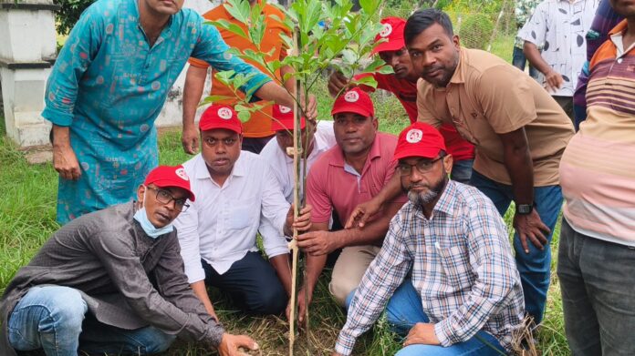 শিবগঞ্জে যুবদলের প্রতিষ্ঠাবার্ষিকীতে মুমূর্ষু রোগীদের আর্থিক সাহায্য প্রদান, বৃক্ষ রোপণ ও পরিচ্ছন্ন অভিযান।