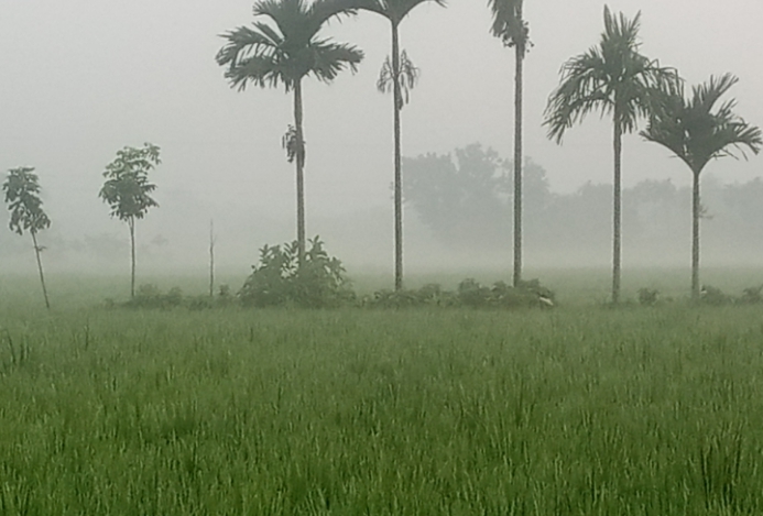ডিমলায় ভোর ও রাতের কুয়াশার চাদরে অনুভূত হচ্ছে আগাম শীতের আমেজ।