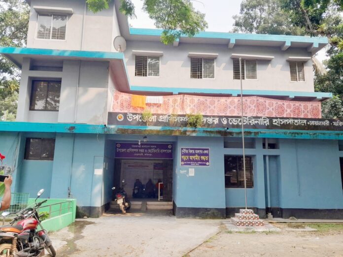 বোয়ালমারী পশু হাসপাতাল অনিয়ম ও দুর্নীতির অভিযোগ, অর্থ ছাড়া মিলছে না সেবা।